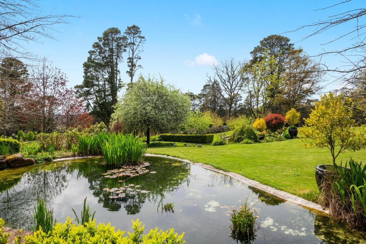 Parklands Country Gardens & Lodges Blue Mountains Blackheath Exterior foto