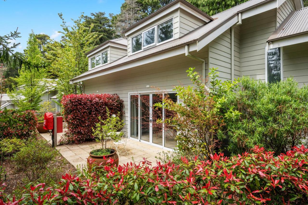 Parklands Country Gardens & Lodges Blue Mountains Blackheath Exterior foto